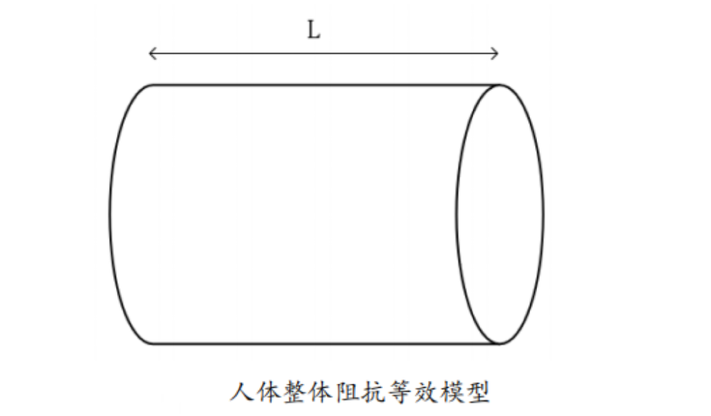 体脂的？数据准确吗？一起来了解ky开元棋牌体脂秤是怎么测出(图2)