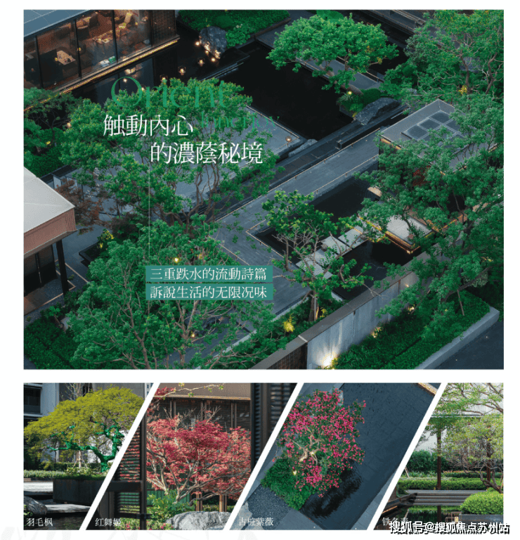 中心)-楼盘欢迎您-小区环境-户型-价格-地址-楼盘详情-周边配套开元棋牌保利海上瑧悦(售楼处)首页网站-保利海上瑧悦销售中心(营销(图24)